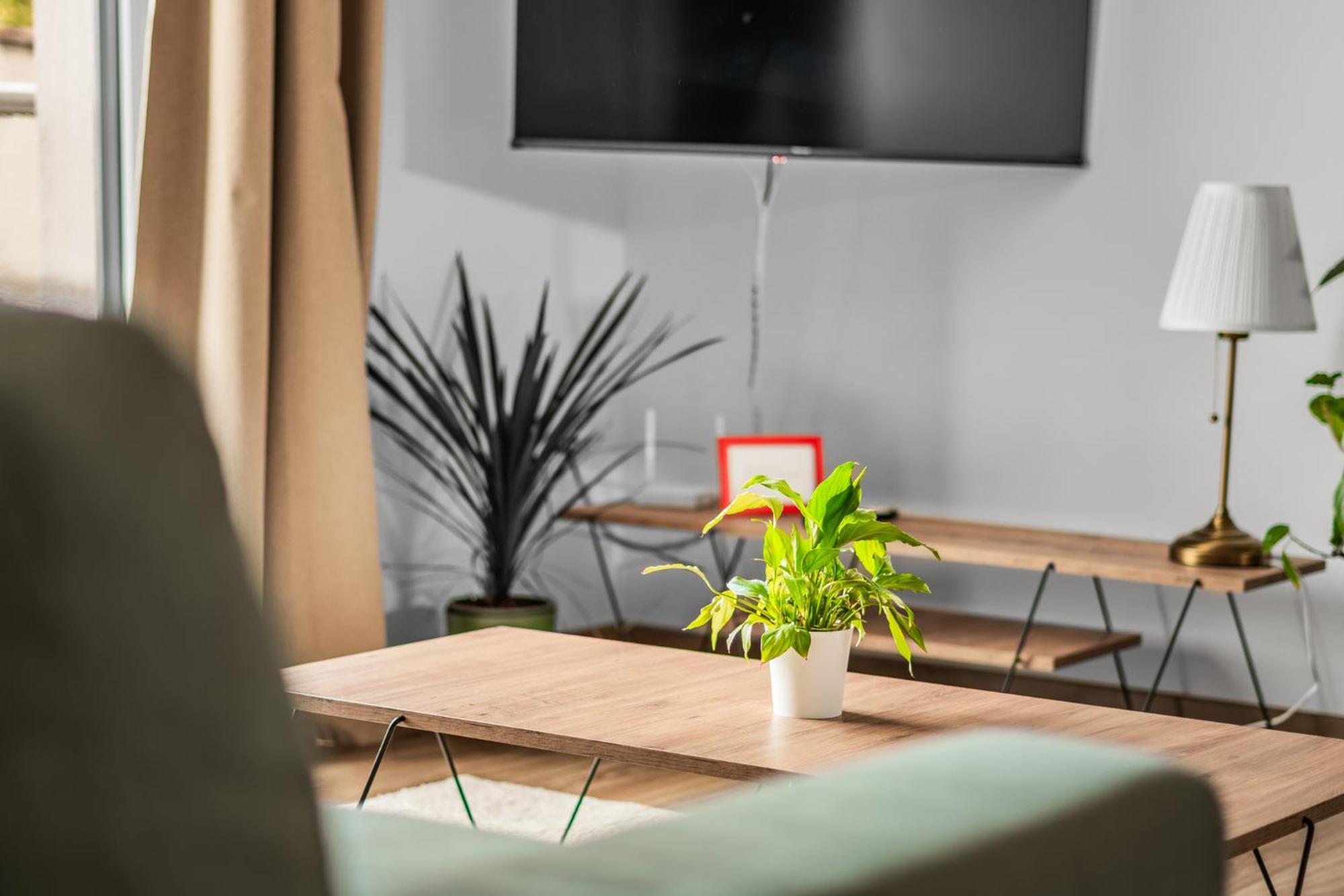 Apartman Anna Nové Město nad Metují 외부 사진